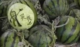 吃瓜爆料 网红大瓜博雅吃瓜视频最全观看,网红大瓜全解析